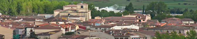 Banner de cabecera