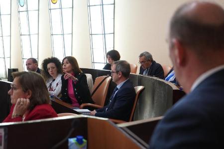 Imagen El Pleno de la Diputación de Segovia ha aprobado por unanimidad el reglamento por el que se regula la prestación de servicios en...
