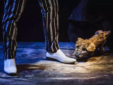 Imagen La compañía Cal y Canto regresa al Teatro Juan Bravo con ‘Lost dog’ y su ánimo de educar frente al abandono y el maltrato animal